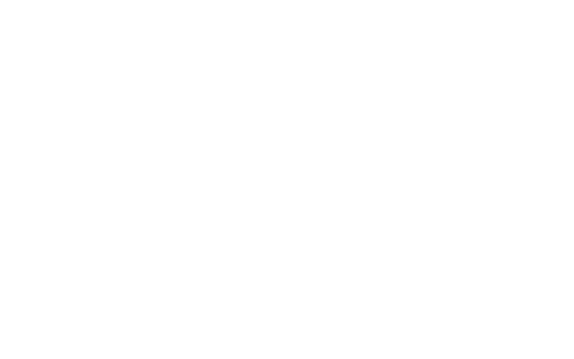 DJ Andorinha